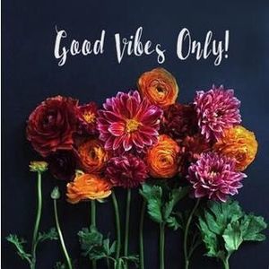 Meet your Posher, Jodi